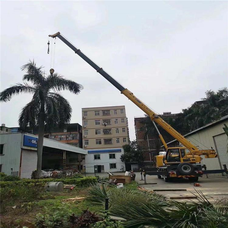 岱岳汽车吊出租多少钱？全面解析与市场行情